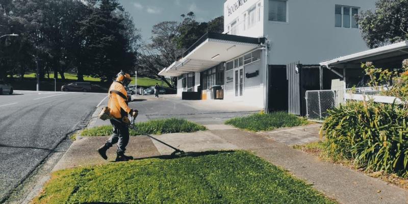 Professional Lawn Care