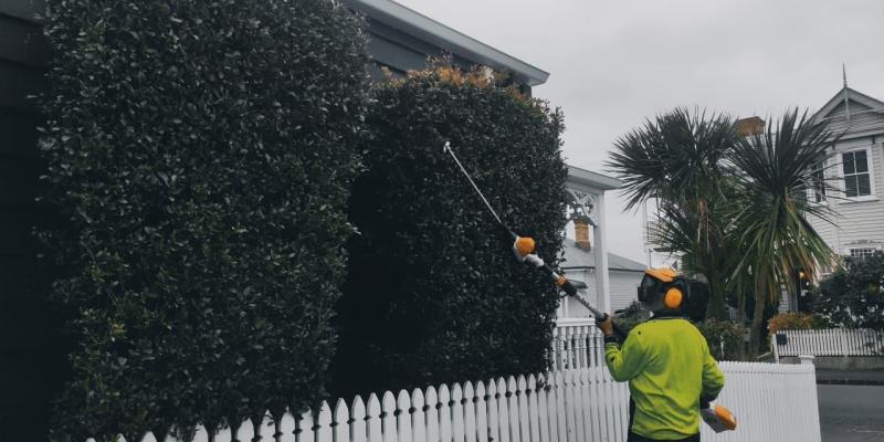 Hedging