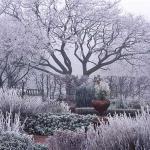 Rooted Wisdom – August Gardening Guide