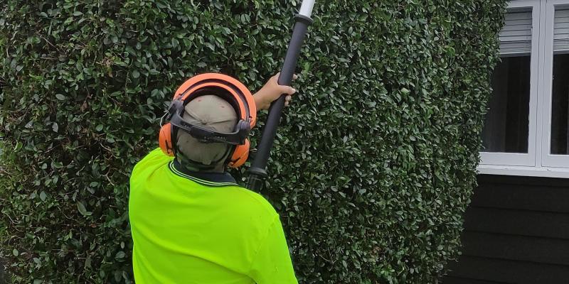Trimming