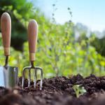 Rooted Wisdom – July Gardening Guide