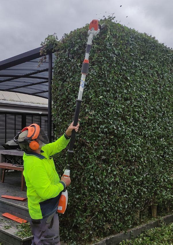 Creating and Maintaining Gardens You’ll Love Year-Round From Planting to Pruning – We’ve Got You Covered